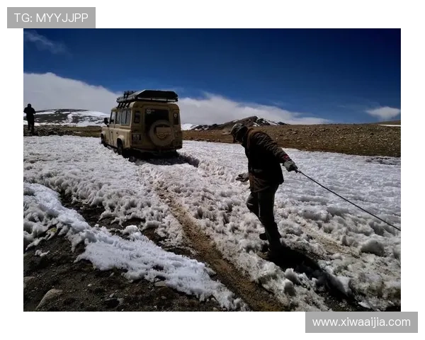 开云网页登陆操作指南:详细步骤帮助你快速顺利登录开云平台