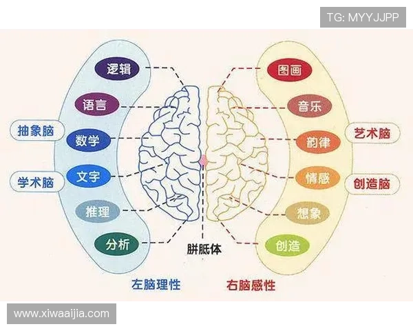 开运滚球的风水原理与提升个人运势的最佳实践