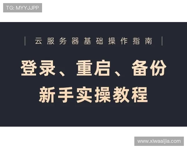 掌握开云真人版全站登录基础技巧,快速解决登录中遇到的各种问题