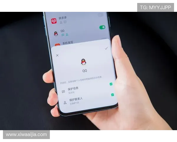 揭示开云电竞在线平台的安全性与用户隐私保护措施