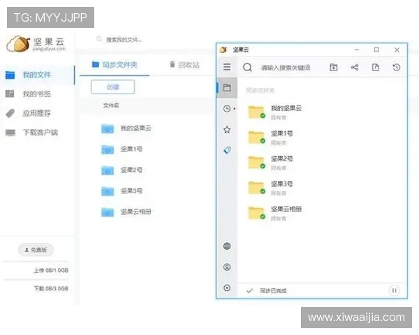 深度解析开云下载的功能，让文件分享变得更简单